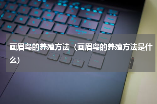 画眉鸟的养殖方法（画眉鸟的养殖方法是什么）
