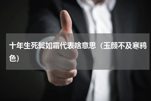 十年生死鬓如霜代表啥意思（玉颜不及寒鸦色）