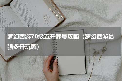 梦幻西游70级五开养号攻略（梦幻西游最强多开玩家）