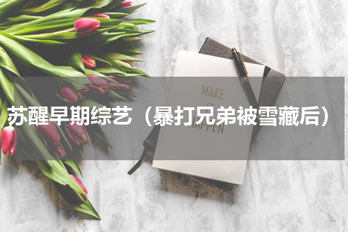 苏醒早期综艺（暴打兄弟被雪藏后）
