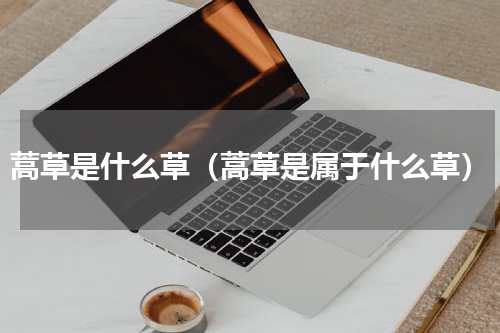 蒿草是什么草（蒿草是属于什么草）