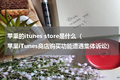 苹果的itunes store是什么（苹果iTunes商店购买功能遭遇集体诉讼）