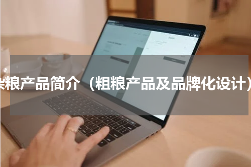 杂粮产品简介（粗粮产品及品牌化设计）