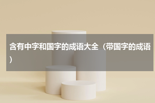 含有中字和国字的成语大全（带国字的成语）