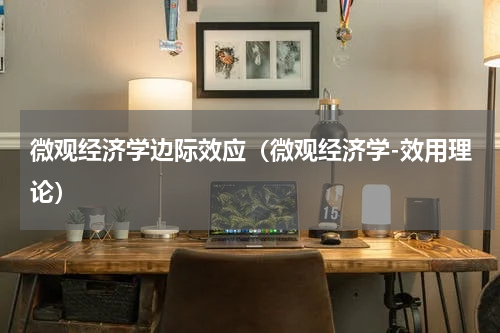 微观经济学边际效应（微观经济学-效用理论）