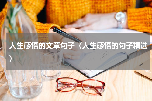 人生感悟的文章句子（人生感悟的句子精选）