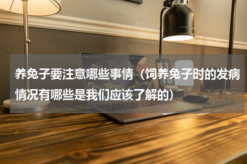 养兔子要注意哪些事情（饲养兔子时的发病情况有哪些是我们应该了解的）