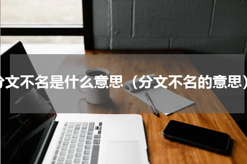 分文不名是什么意思（分文不名的意思）