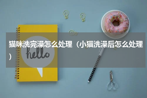猫咪洗完澡怎么处理（小猫洗澡后怎么处理）