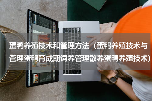 蛋鸭养殖技术和管理方法（蛋鸭养殖技术与管理蛋鸭育成期饲养管理散养蛋鸭养殖技术）