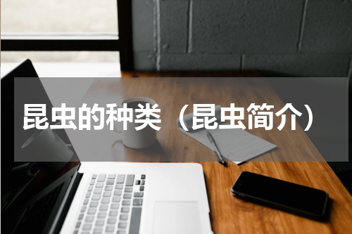 昆虫的种类（昆虫简介）
