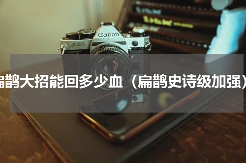 扁鹊大招能回多少血（扁鹊史诗级加强）