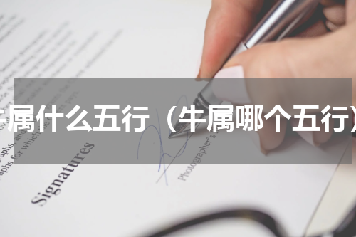 牛属什么五行（牛属哪个五行）