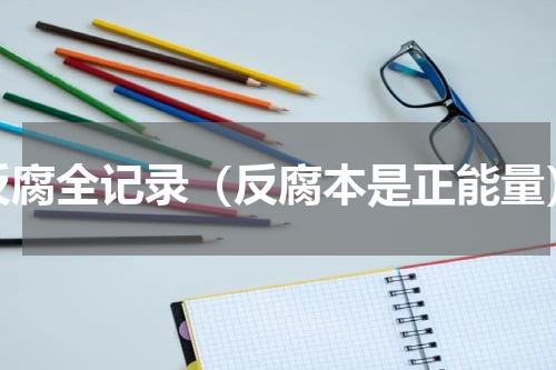 反腐全记录（反腐本是正能量）
