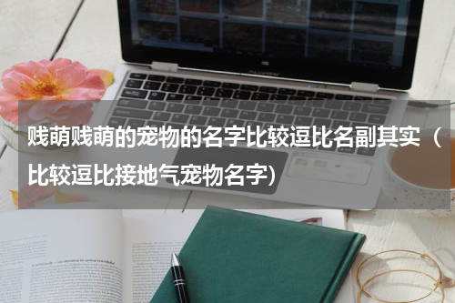 贱萌贱萌的宠物的名字比较逗比名副其实（比较逗比接地气宠物名字）