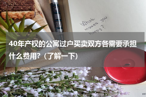 40年产权的公寓过户买卖双方各需要承担什么费用?（了解一下）