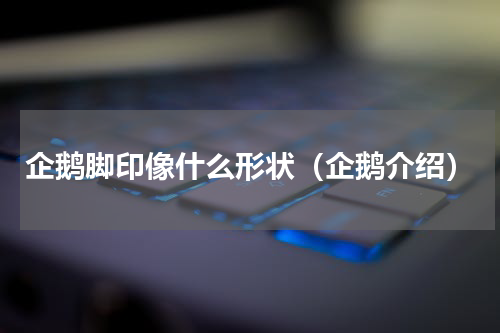 企鹅脚印像什么形状（企鹅介绍）