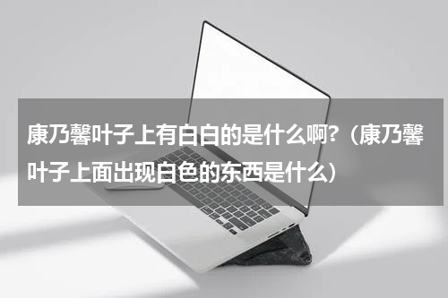 康乃馨叶子上有白白的是什么啊?（康乃馨叶子上面出现白色的东西是什么）