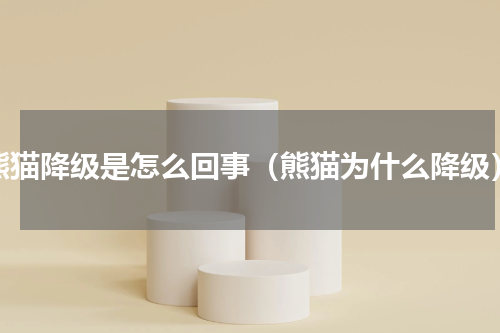 熊猫降级是怎么回事（熊猫为什么降级）