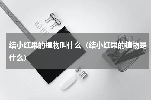 结小红果的植物叫什么（结小红果的植物是什么）