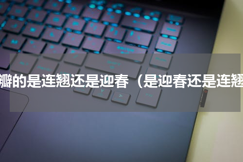六瓣的是连翘还是迎春（是迎春还是连翘）