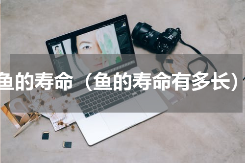 鱼的寿命（鱼的寿命有多长）