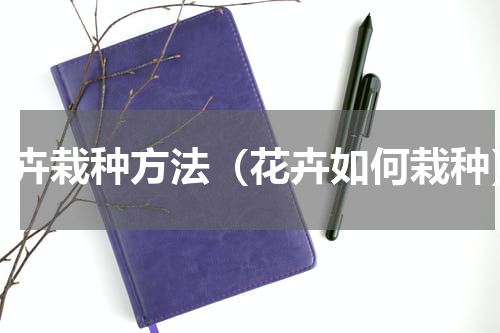 花卉栽种方法（花卉如何栽种）