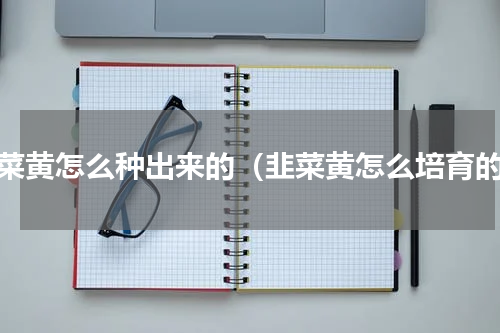 韭菜黄怎么种出来的（韭菜黄怎么培育的）