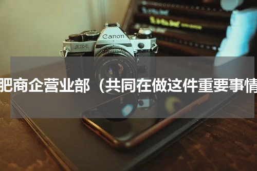 合肥商企营业部（共同在做这件重要事情）