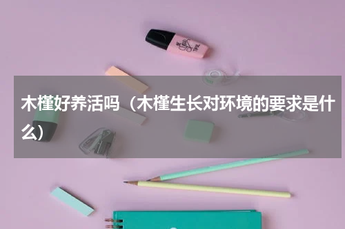 木槿好养活吗（木槿生长对环境的要求是什么）