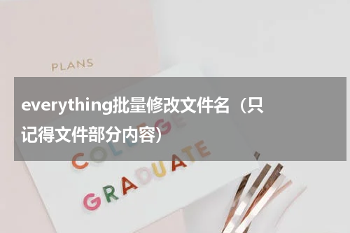 everything批量修改文件名（只记得文件部分内容）