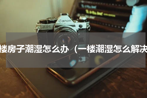 一楼房子潮湿怎么办（一楼潮湿怎么解决）
