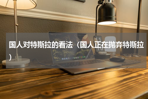 国人对特斯拉的看法（国人正在抛弃特斯拉）