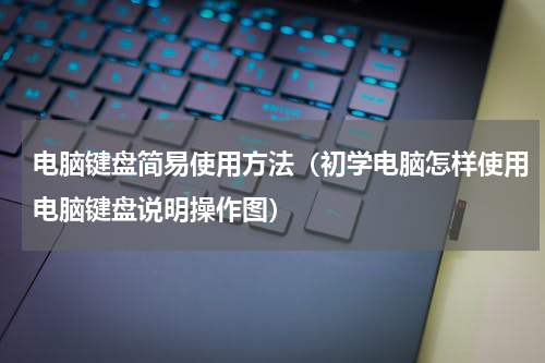 电脑键盘简易使用方法（初学电脑怎样使用电脑键盘说明操作图）