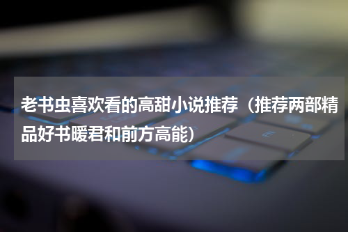老书虫喜欢看的高甜小说推荐（推荐两部精品好书暖君和前方高能）
