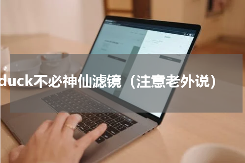 duck不必神仙滤镜（注意老外说）