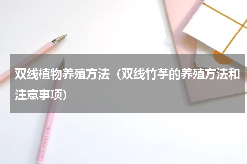 双线植物养殖方法（双线竹芋的养殖方法和注意事项）