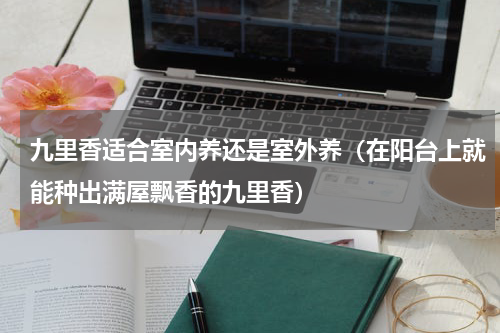 九里香适合室内养还是室外养（在阳台上就能种出满屋飘香的九里香）