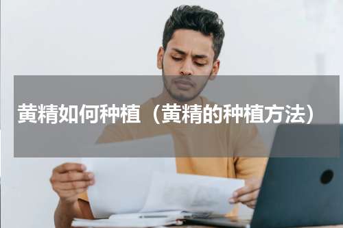 黄精如何种植（黄精的种植方法）