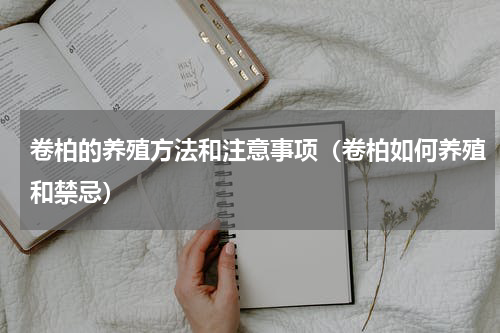 卷柏的养殖方法和注意事项（卷柏如何养殖和禁忌）