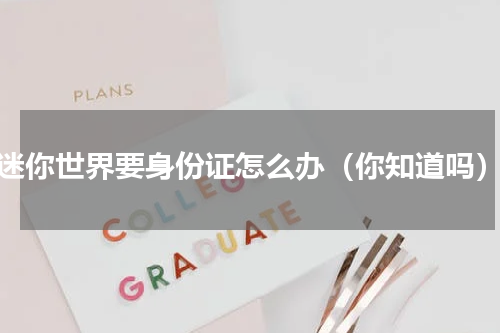 迷你世界要身份证怎么办（你知道吗）