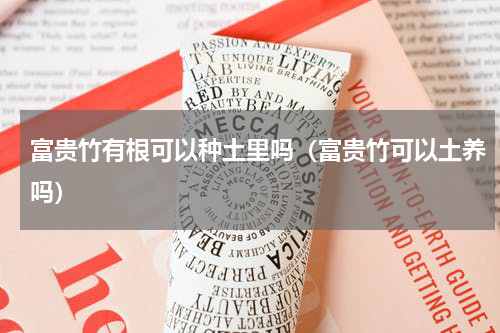 富贵竹有根可以种土里吗（富贵竹可以土养吗）