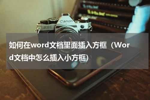 如何在word文档里面插入方框（Word文档中怎么插入小方框）