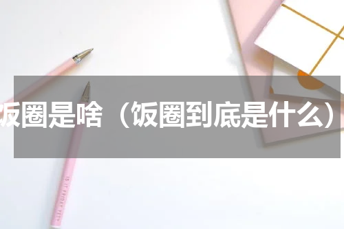 饭圈是啥（饭圈到底是什么）