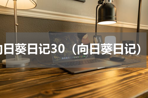 向日葵日记30（向日葵日记）