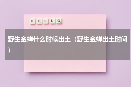野生金蝉什么时候出土（野生金蝉出土时间）