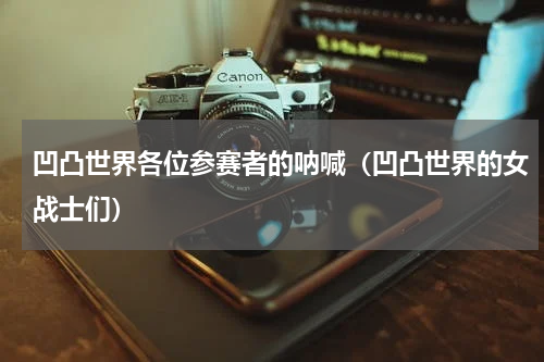凹凸世界各位参赛者的呐喊（凹凸世界的女战士们）