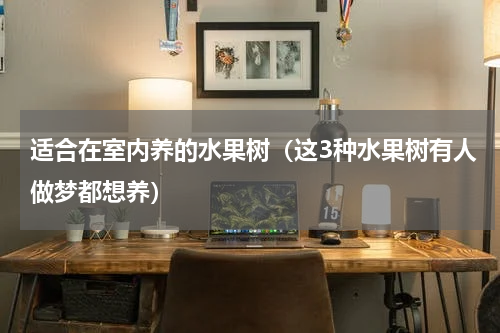 适合在室内养的水果树（这3种水果树有人做梦都想养）
