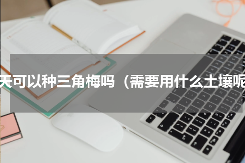 冬天可以种三角梅吗（需要用什么土壤呢）