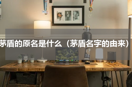 茅盾的原名是什么（茅盾名字的由来）